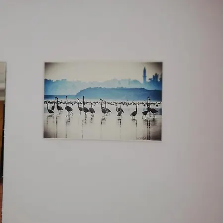 Swallows Nest *