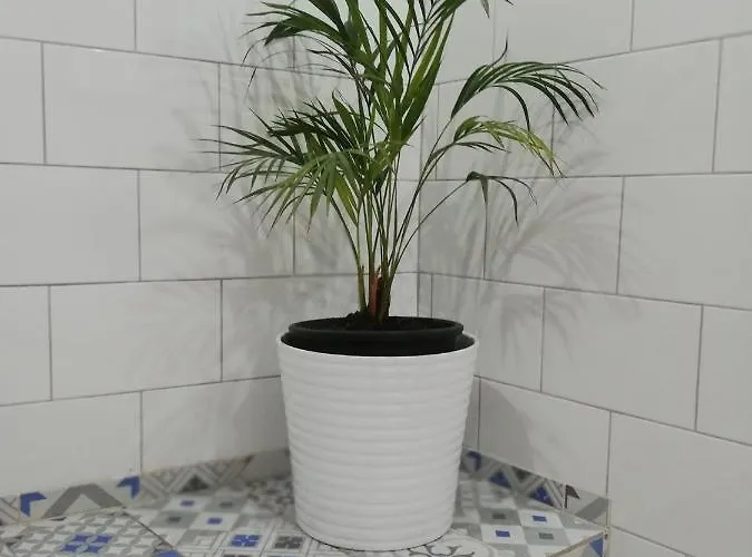 Swallows Nest * Larnaca