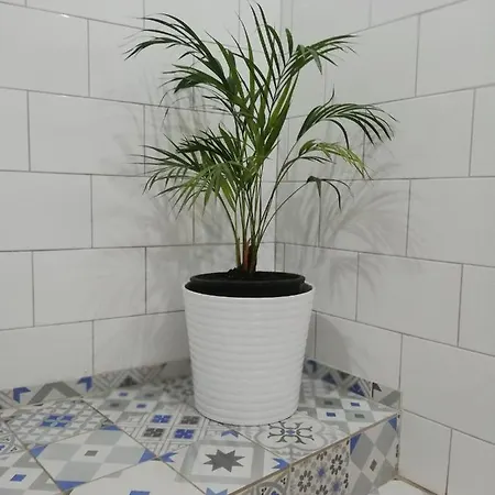 Swallows Nest * Ларнака